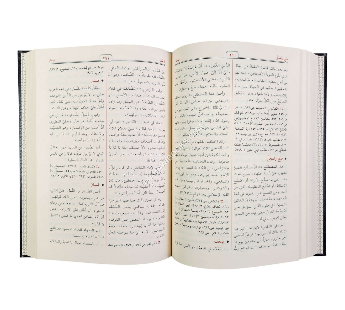 معجم المصطلحات المالية والاقتصادية