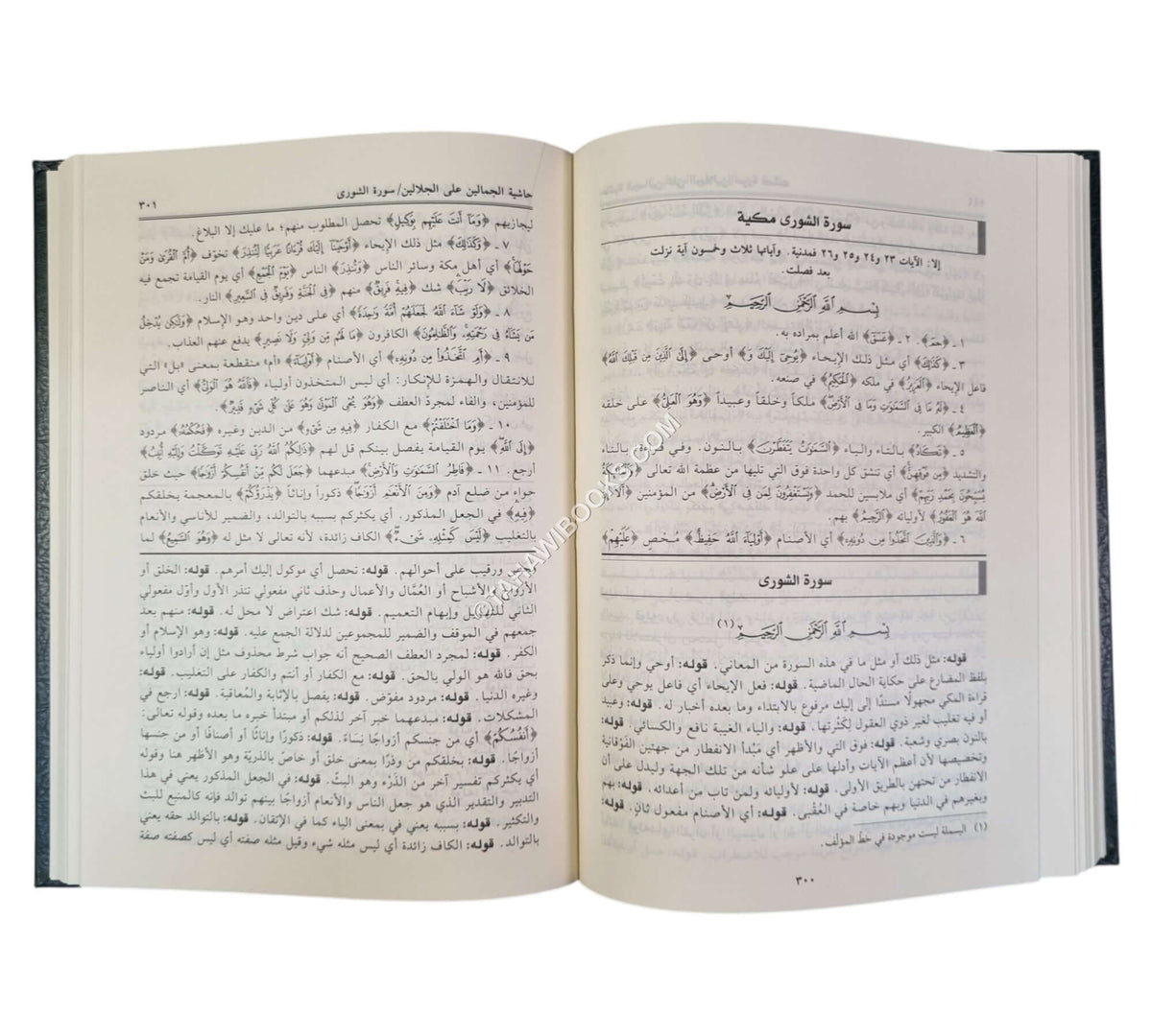 تفسير الجلالين ومعه الجمالين على الجلالين-العلمية