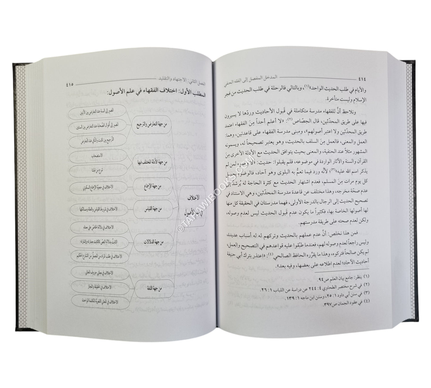 المدخل المفصل إلى الفقه الحنفي ط3