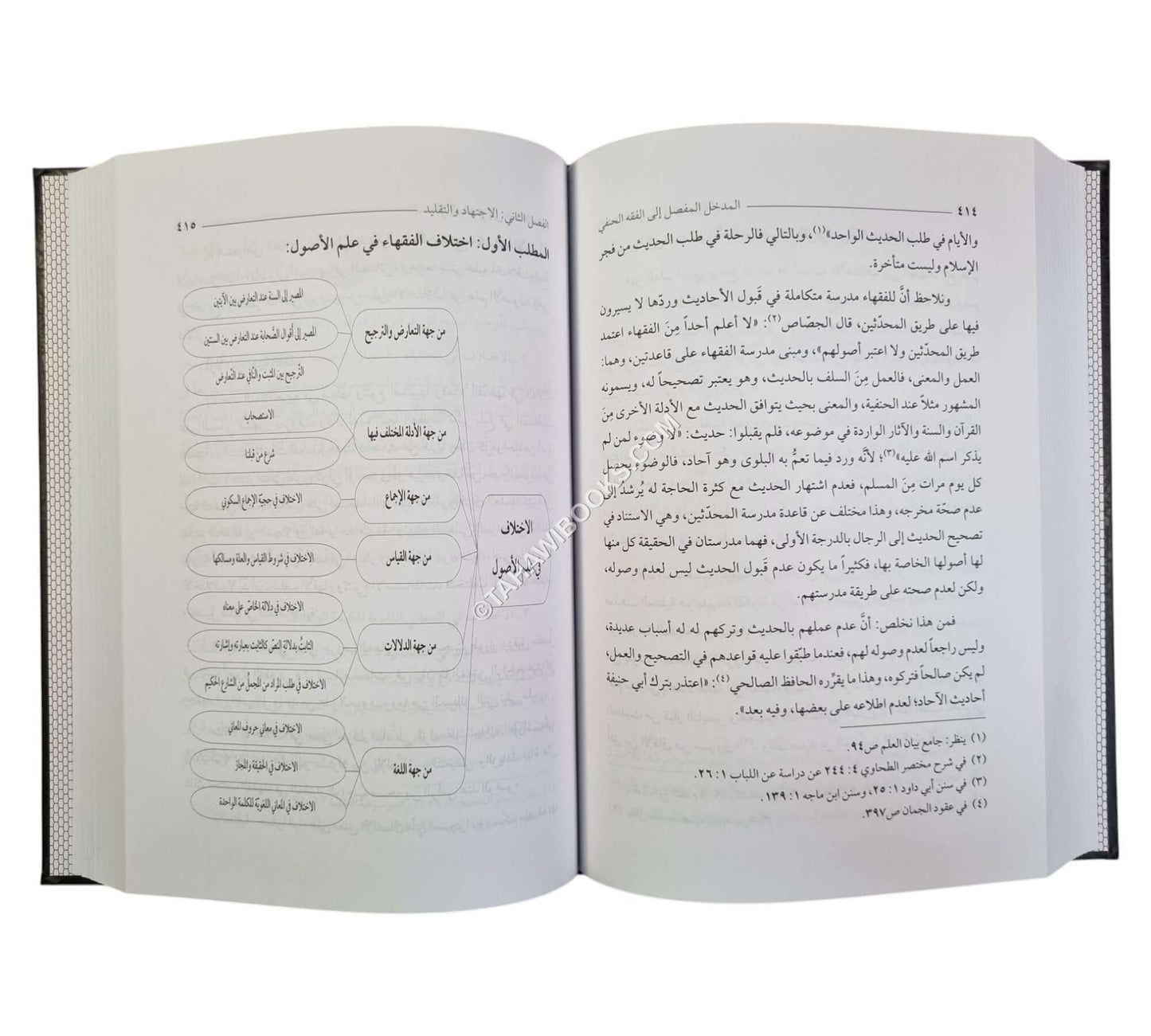 المدخل المفصل إلى الفقه الحنفي ط3