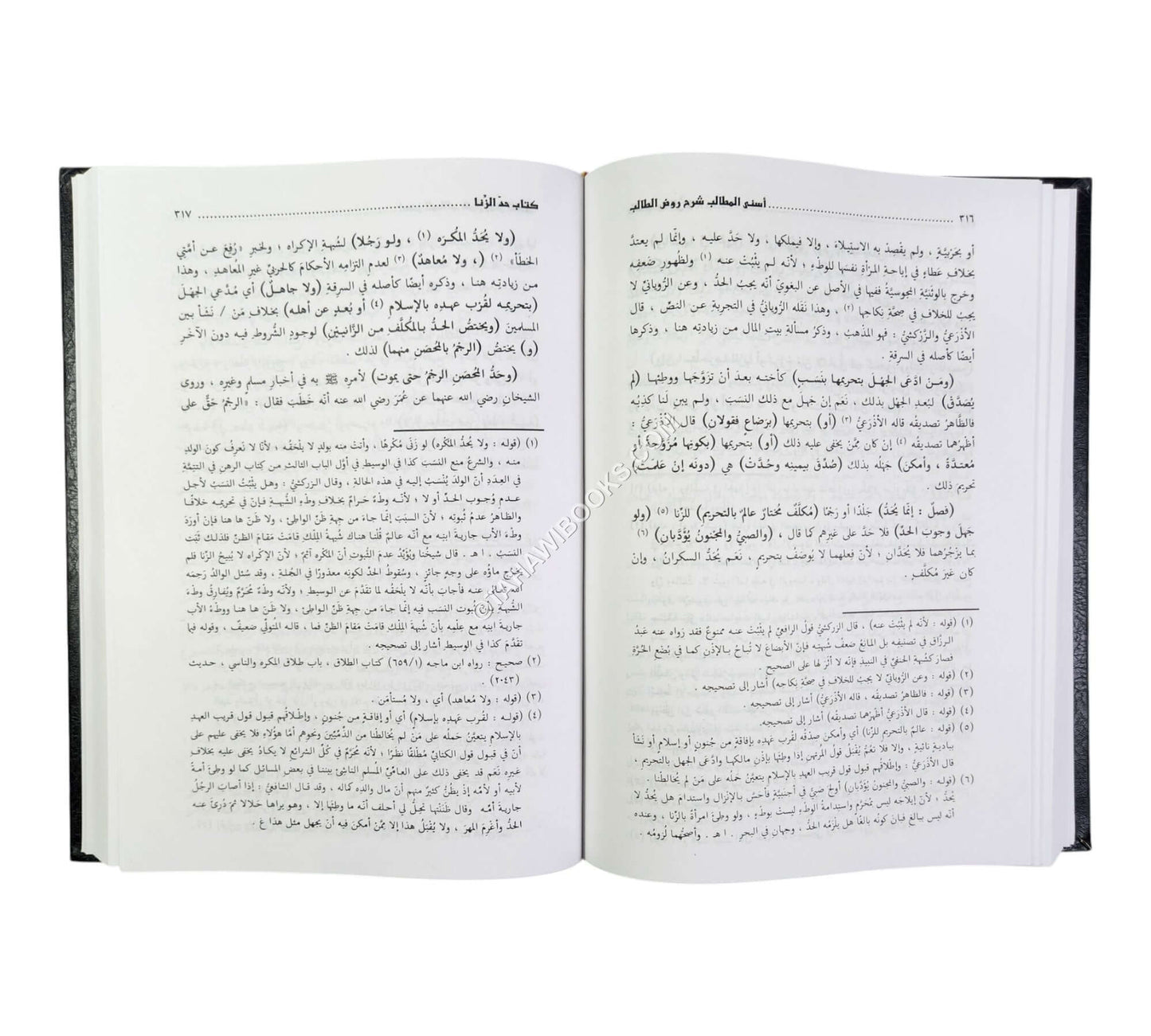 أسنى المطالب شرح روض الطالب