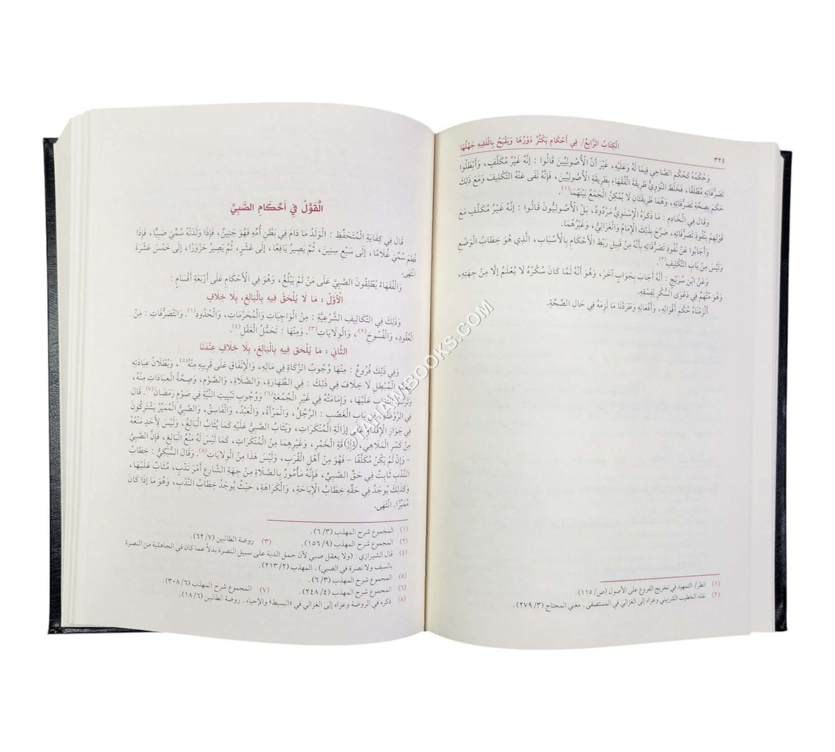 الأشباه والنظائر-السيوطي-العلمية