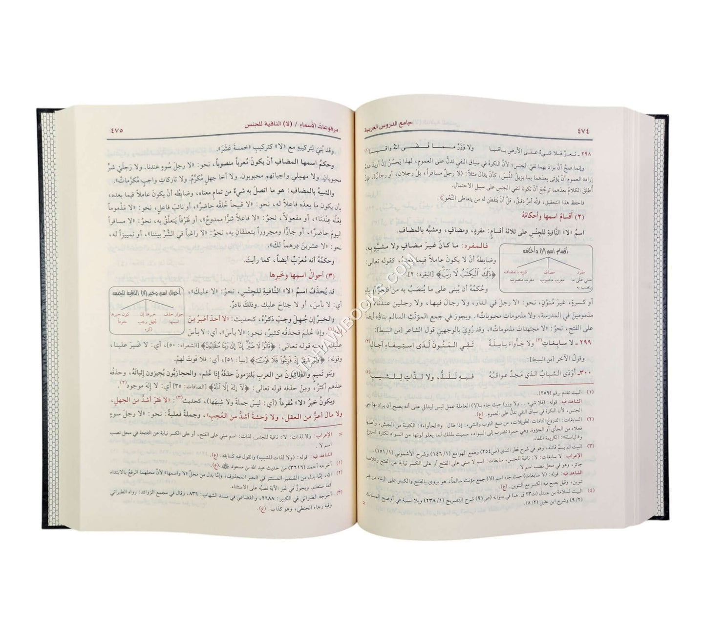 جامع الدروس العربية-الرسالة ناشرون