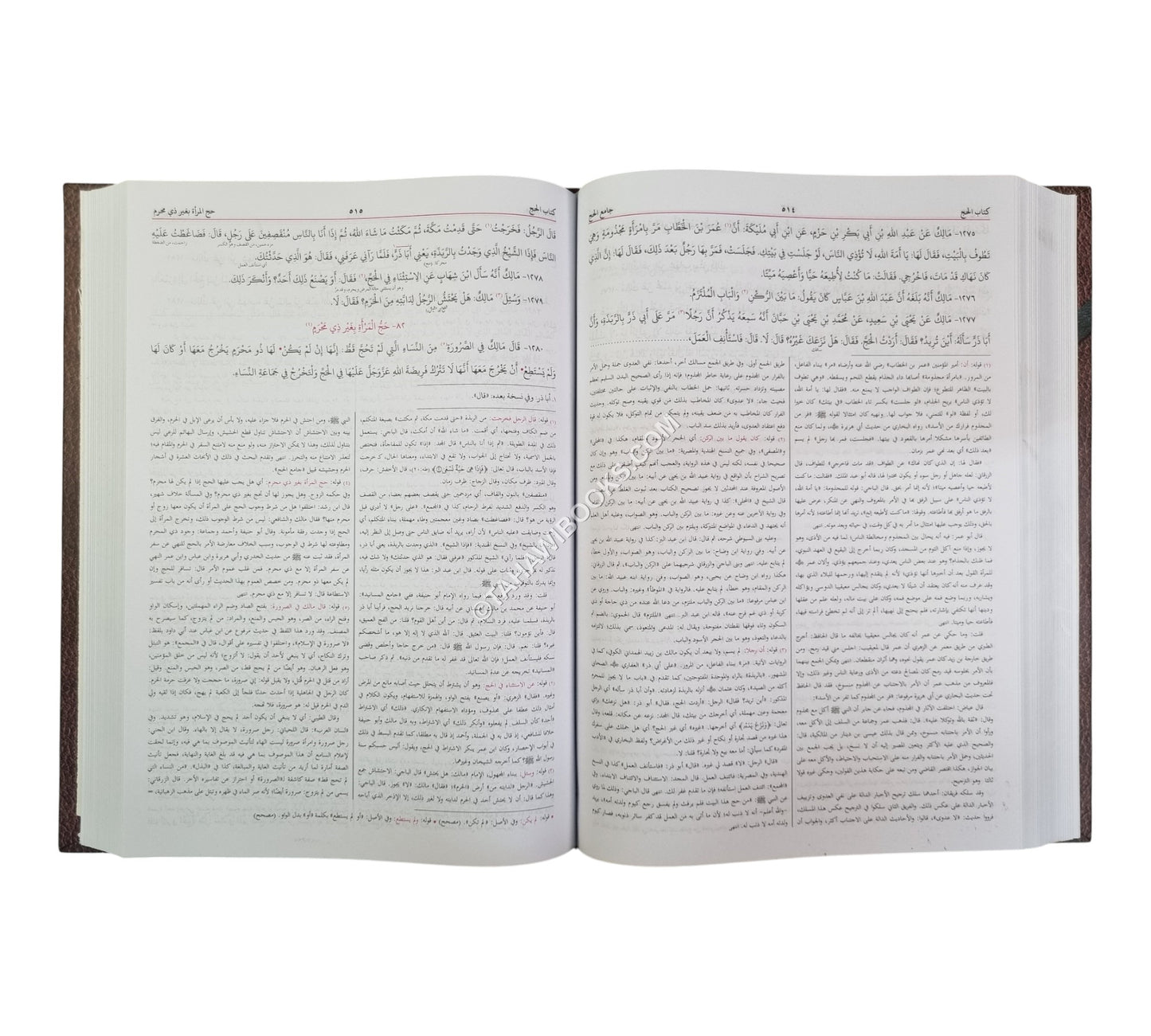 الموطأ للإمام مالك -البشرى-كبير