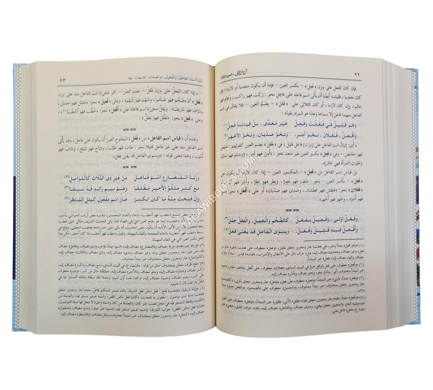 شرح ابن عقيل على ألفية ابن مالك-ابن كثير