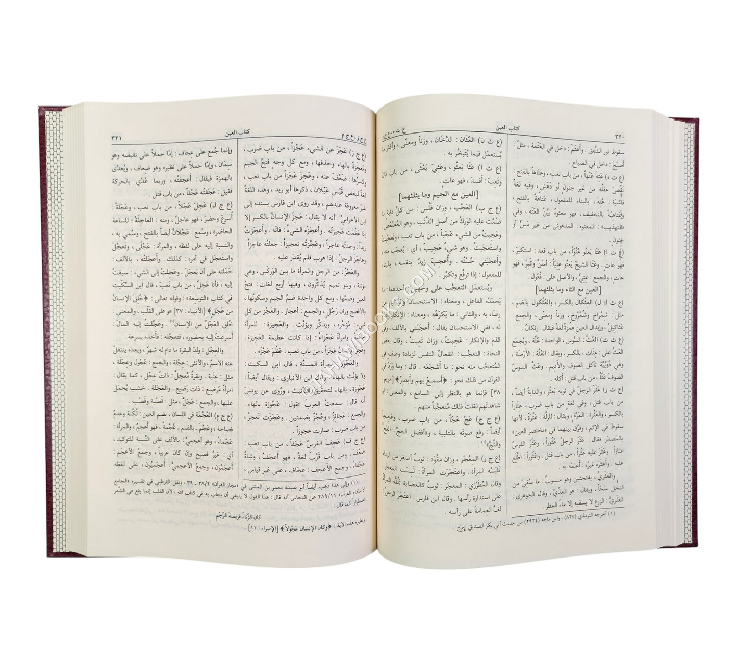 المصباح المنير في غريب الشرح الكبير-الرسالة