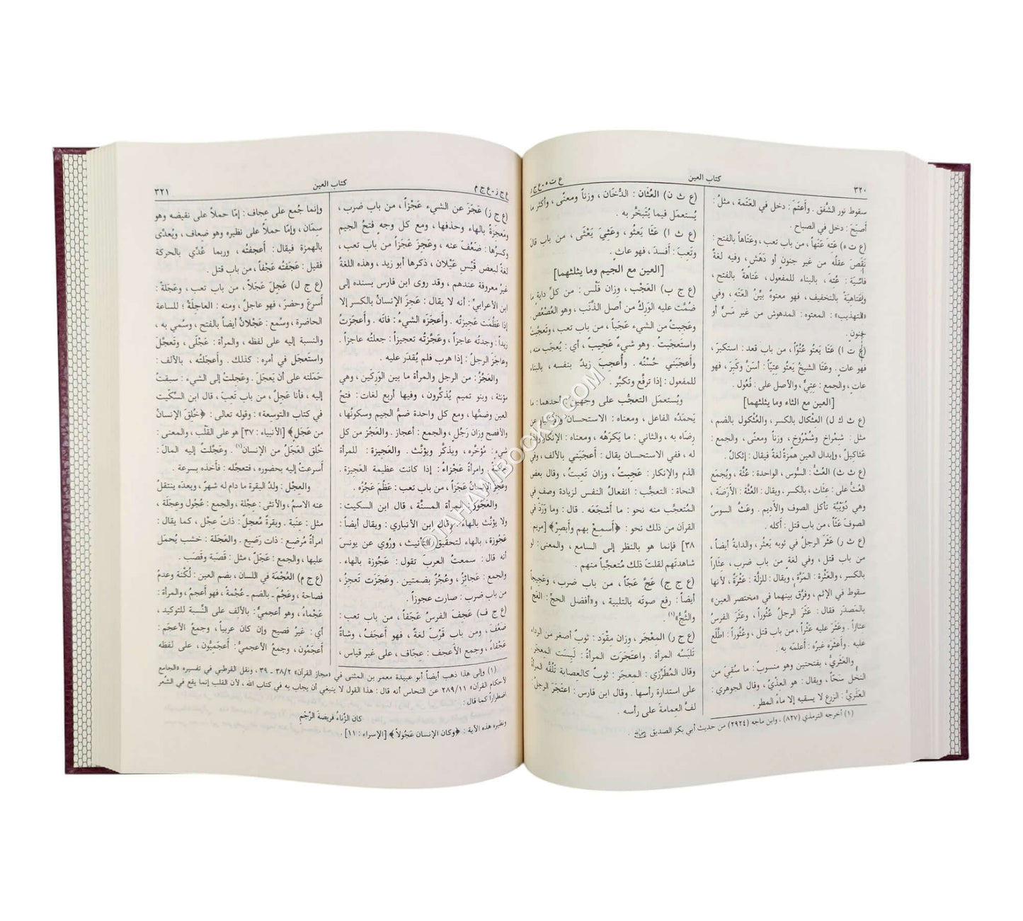 المصباح المنير في غريب الشرح الكبير-الرسالة