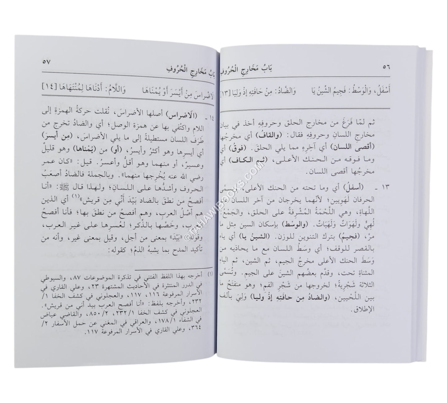 الدقائق المحكمة في شرح المقدمة الجزرية-العلمية-وسط