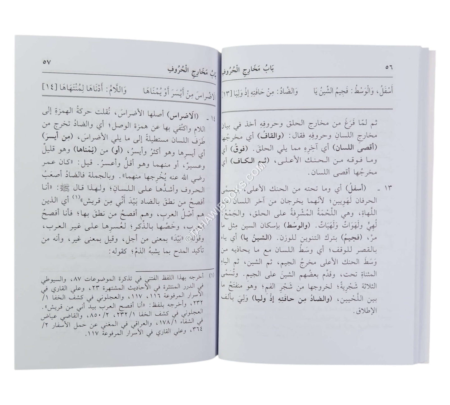 الدقائق المحكمة في شرح المقدمة الجزرية-العلمية-وسط