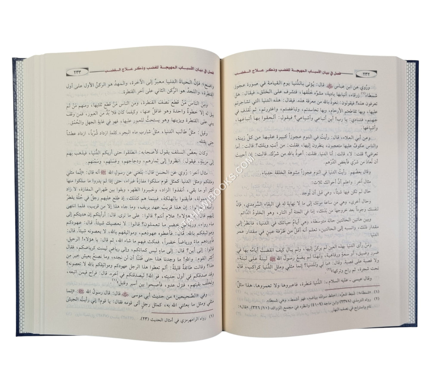 مختصر منهاج القاصدين:مختصر من مختصر إحياء علوم الدين-ابن كثير