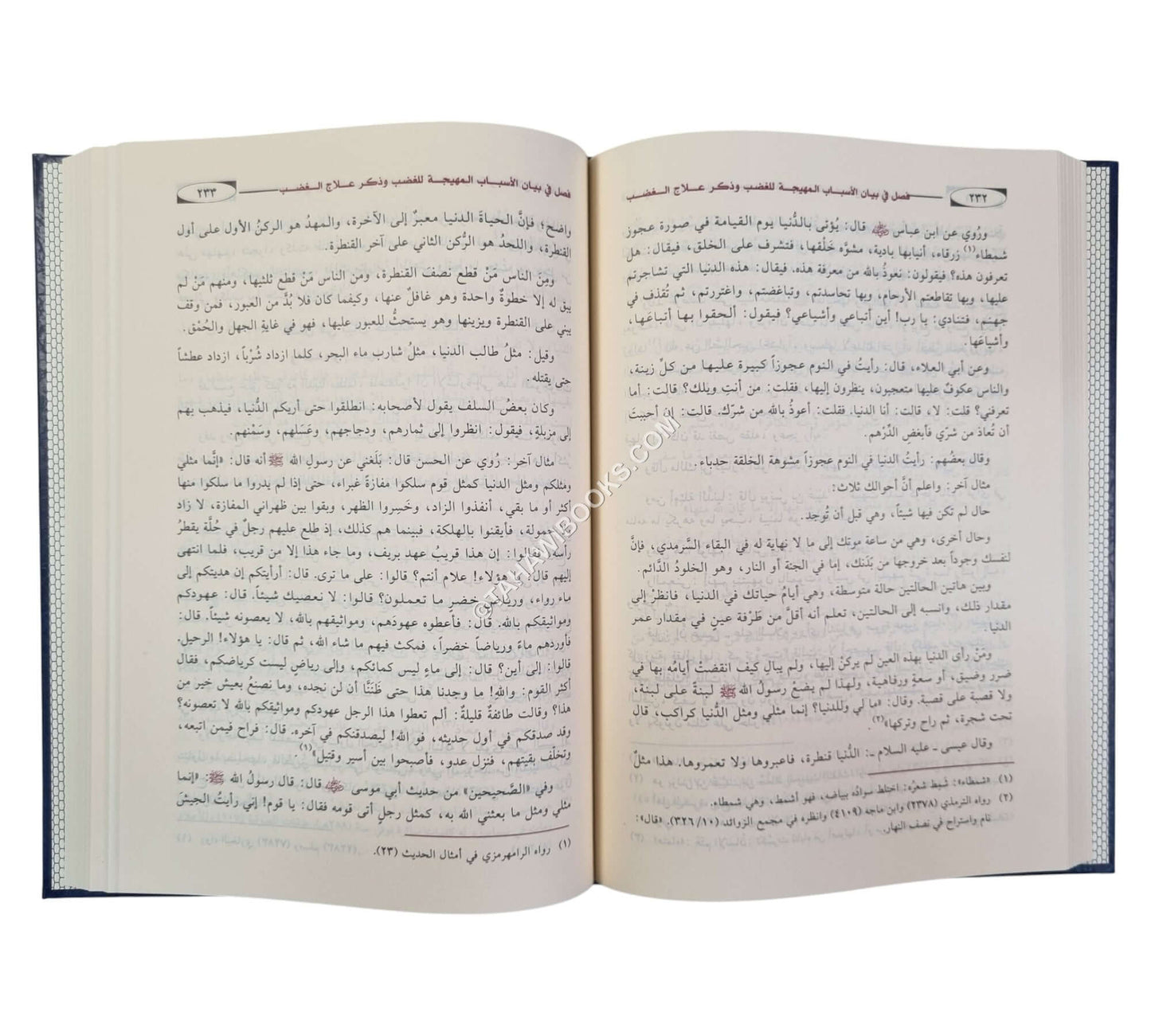 مختصر منهاج القاصدين:مختصر من مختصر إحياء علوم الدين-ابن كثير
