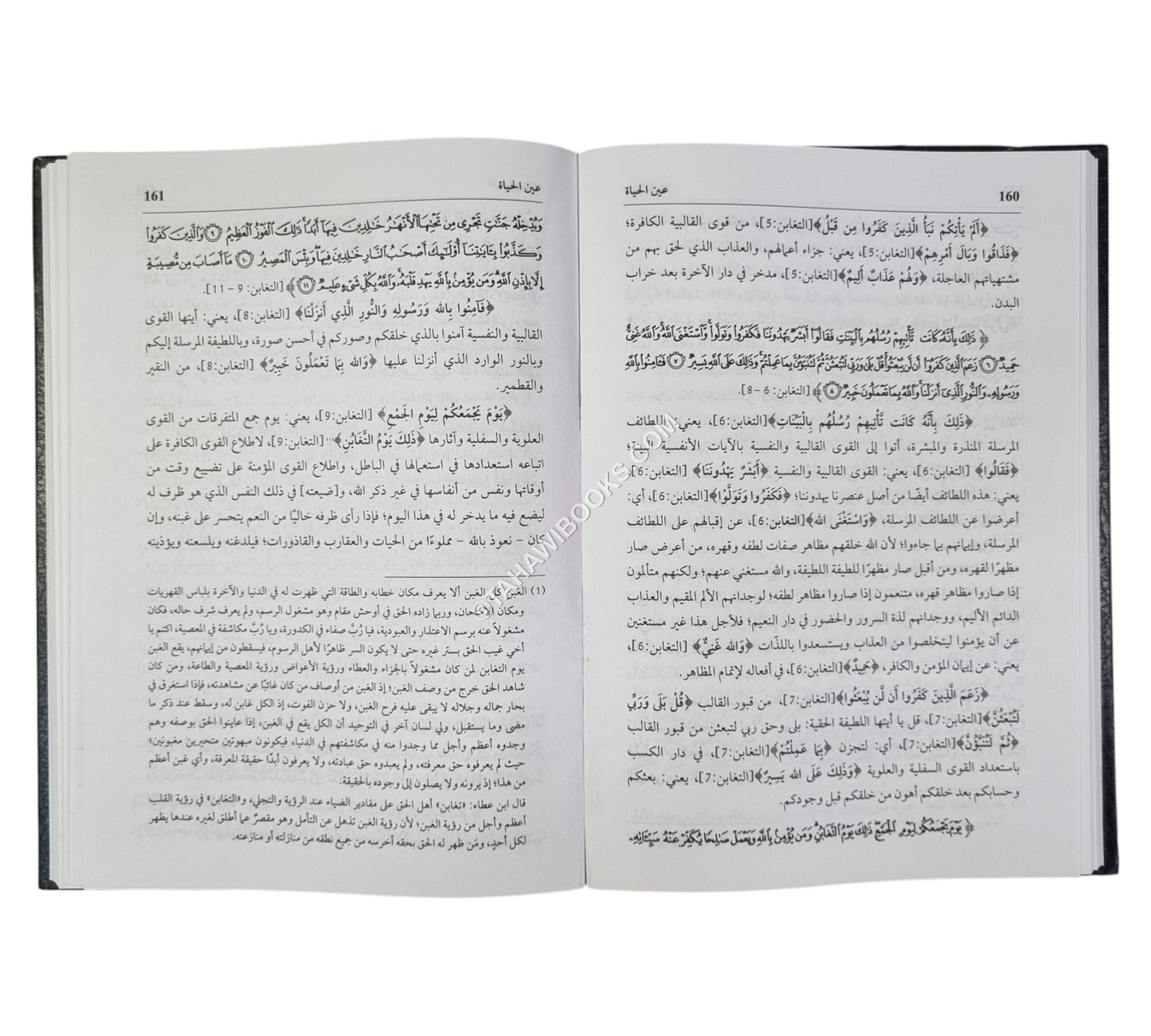 التأويلات النجمية في التفسير الإشاري الصوفي ويليه (تتمته عين الحياة)