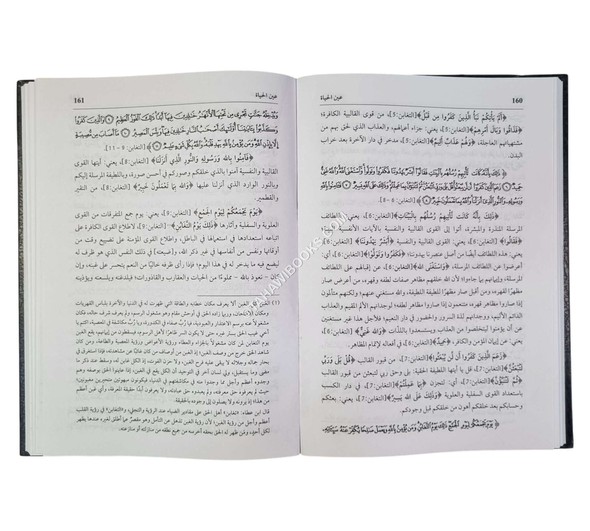 التأويلات النجمية في التفسير الإشاري الصوفي ويليه (تتمته عين الحياة)