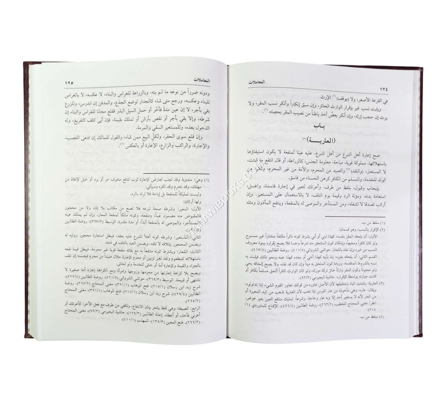 الحاوي الصغير في الفقه الشافعي