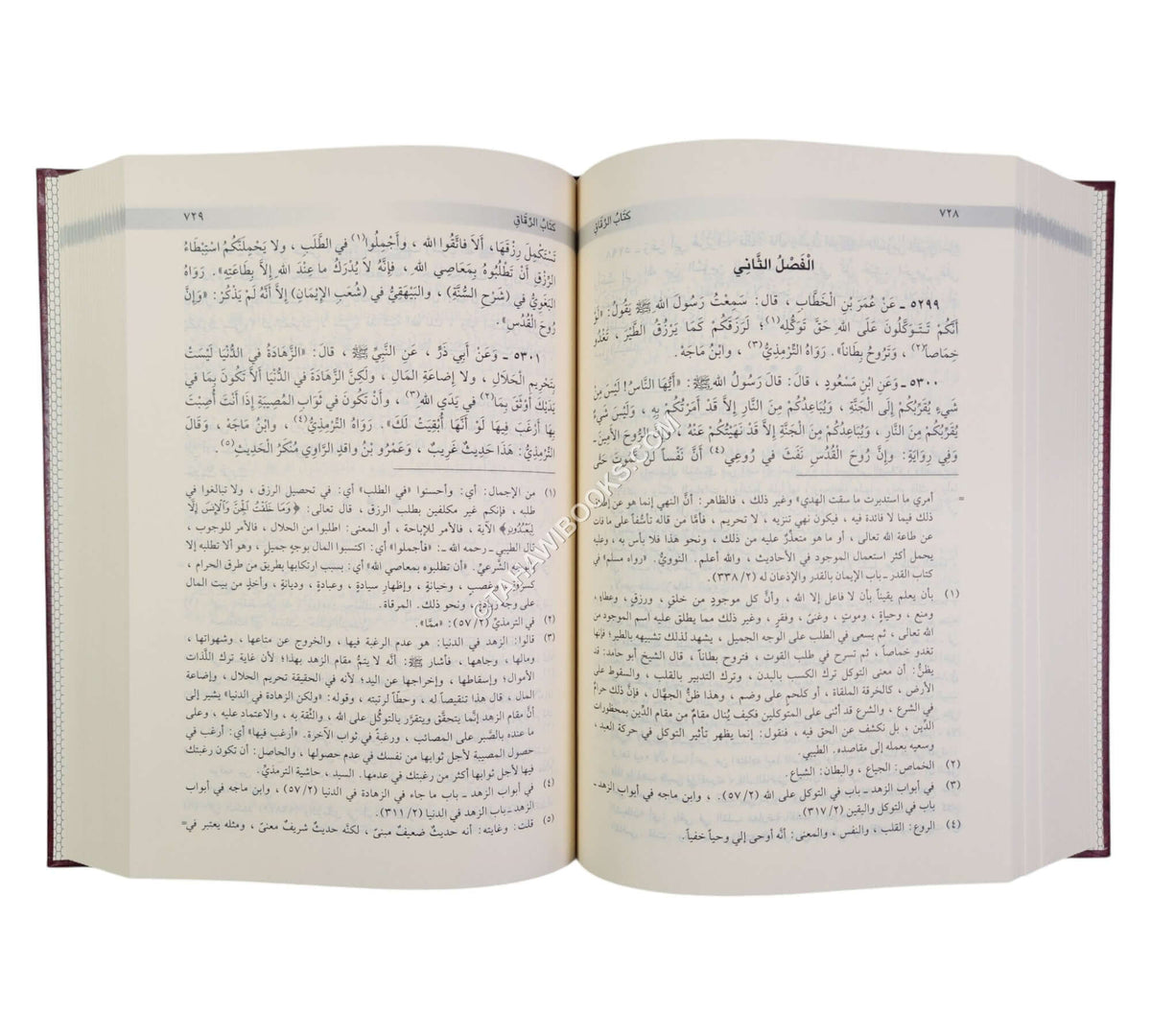 الأبواب المنتخبة من مشكاة المصابيح