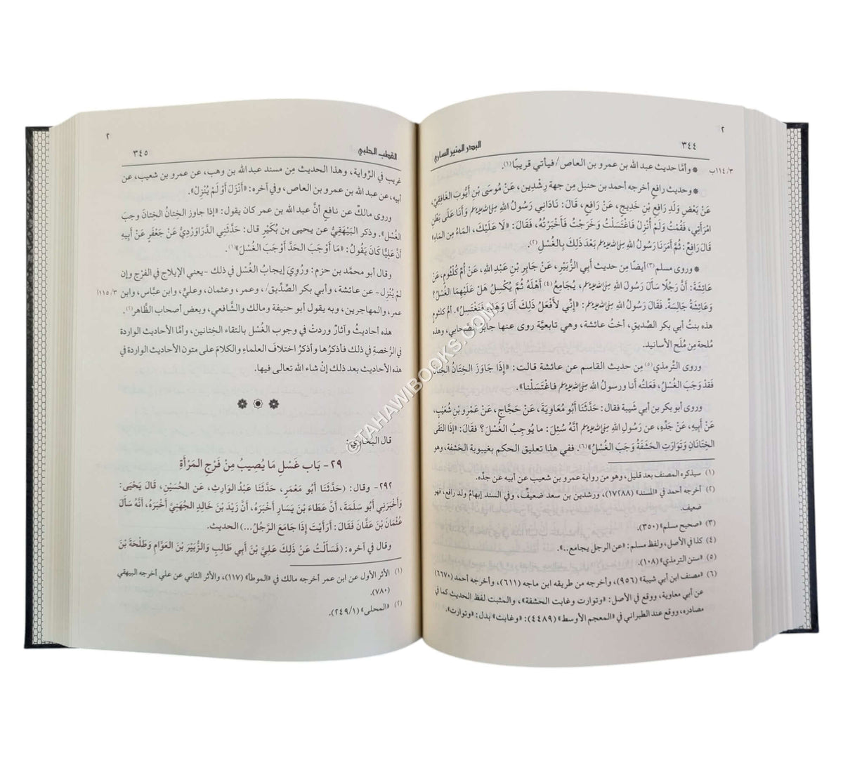 البدر المنير الساري في الكلام على صحيح البخاري