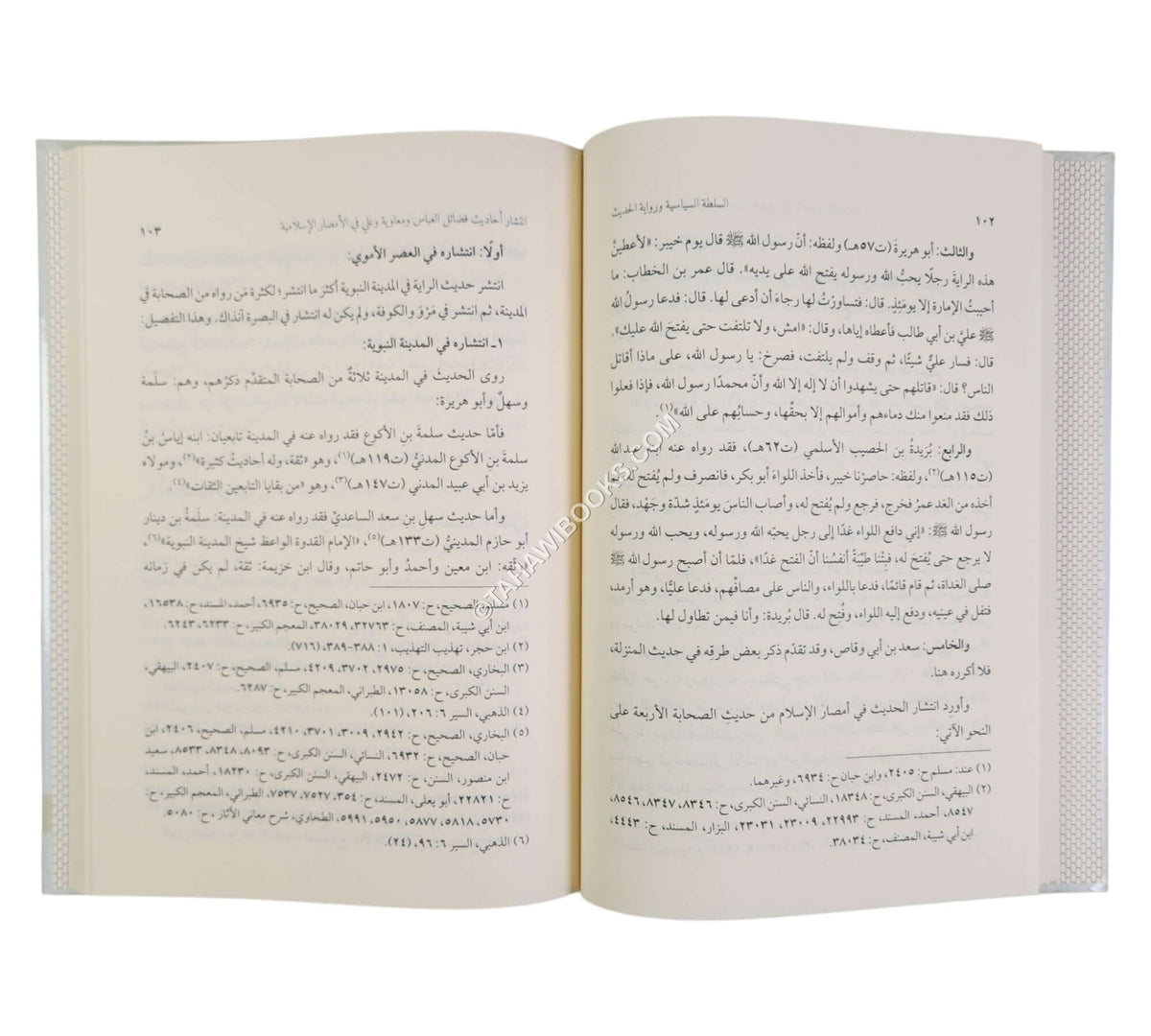 السلطة السياسية وحركة رواية الحديث ونقده ط2