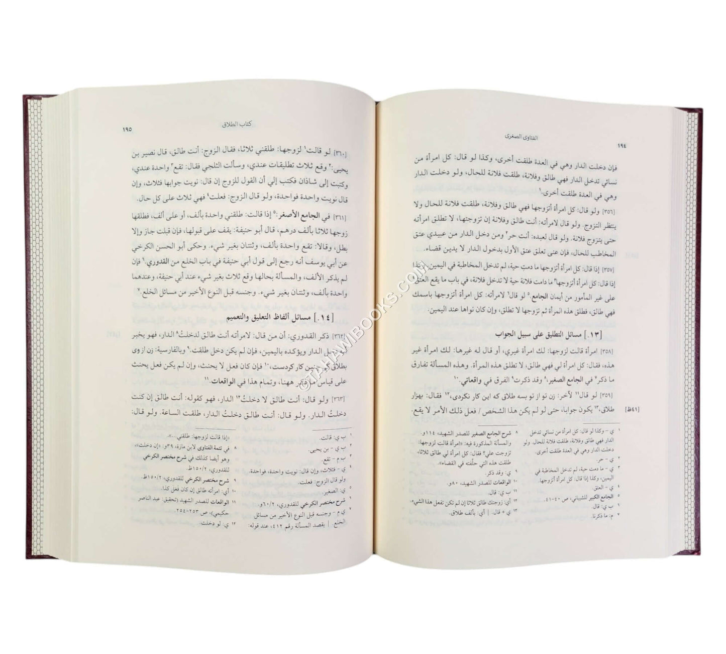 الفتاوى الصغرى