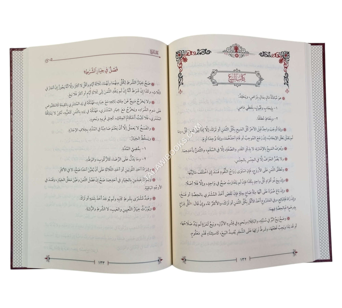 النقاية مختصر الوقاية
