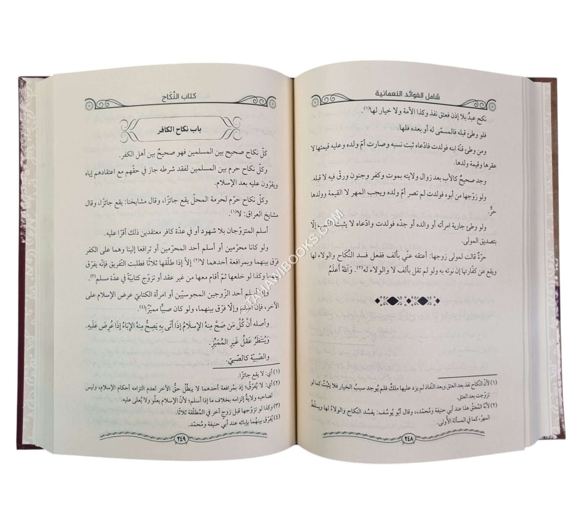 شامل الفوائد النعمانية نظير تنوير الأبصار
