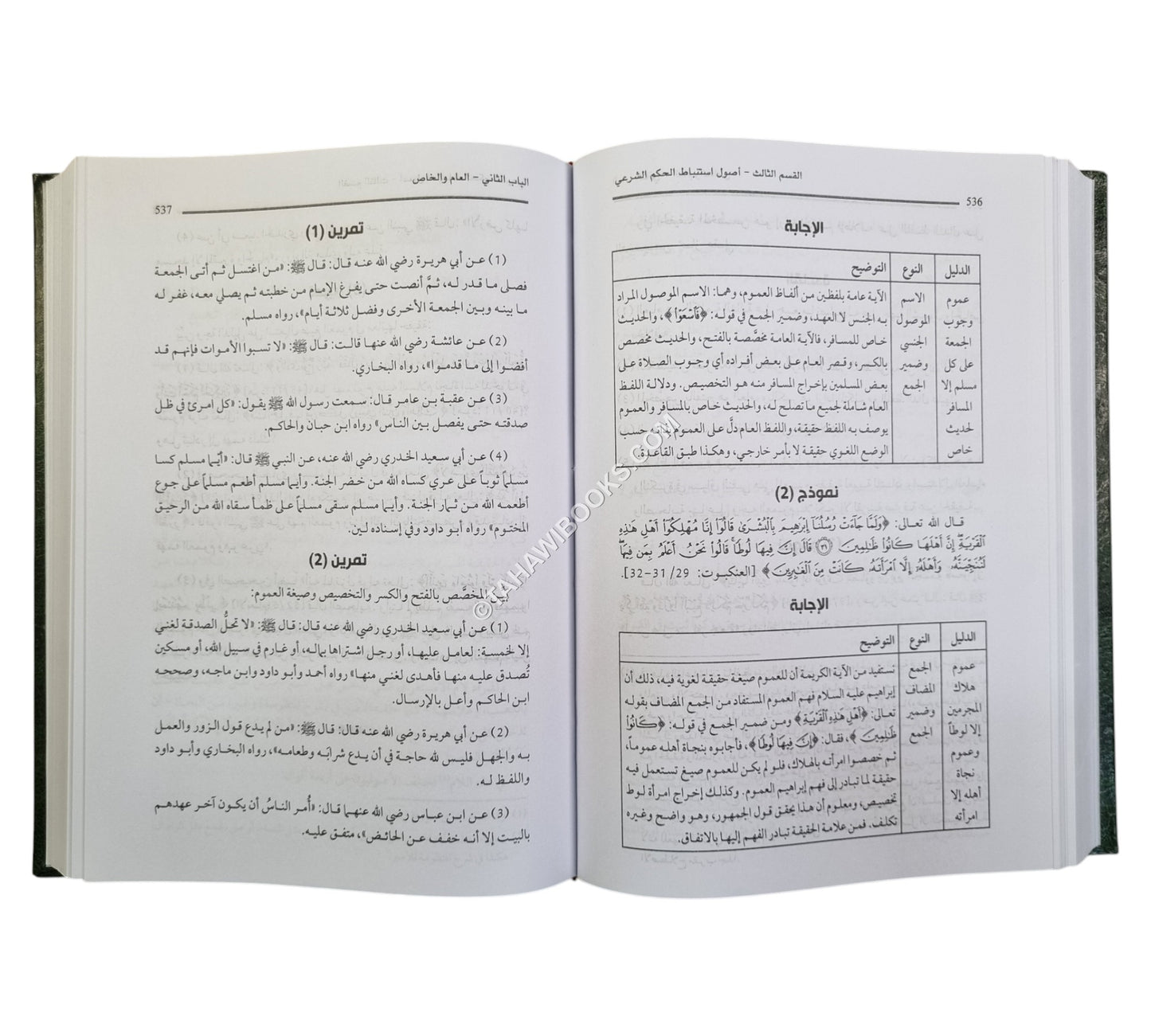 المصفى في أصول الفقه