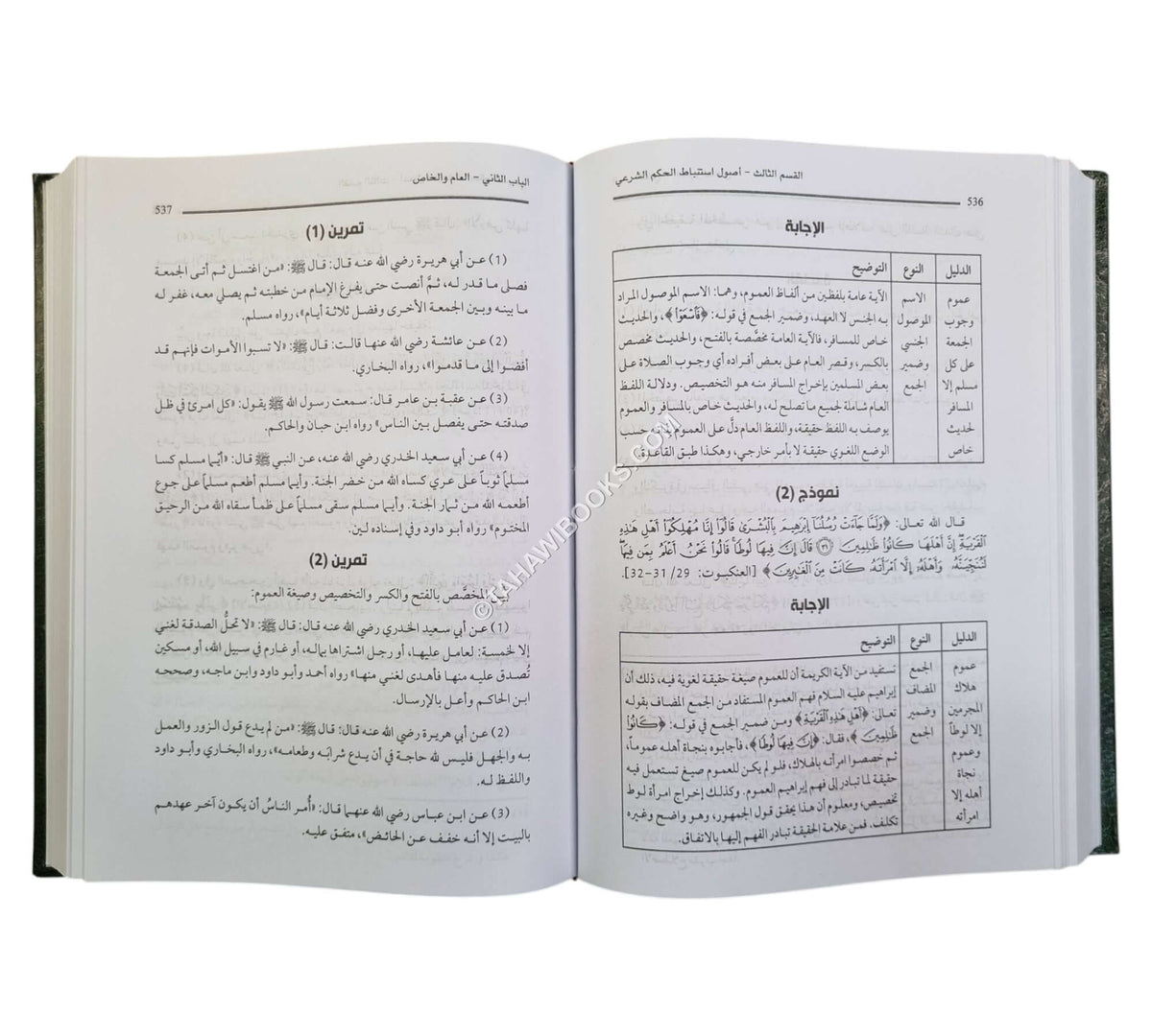 المصفى في أصول الفقه