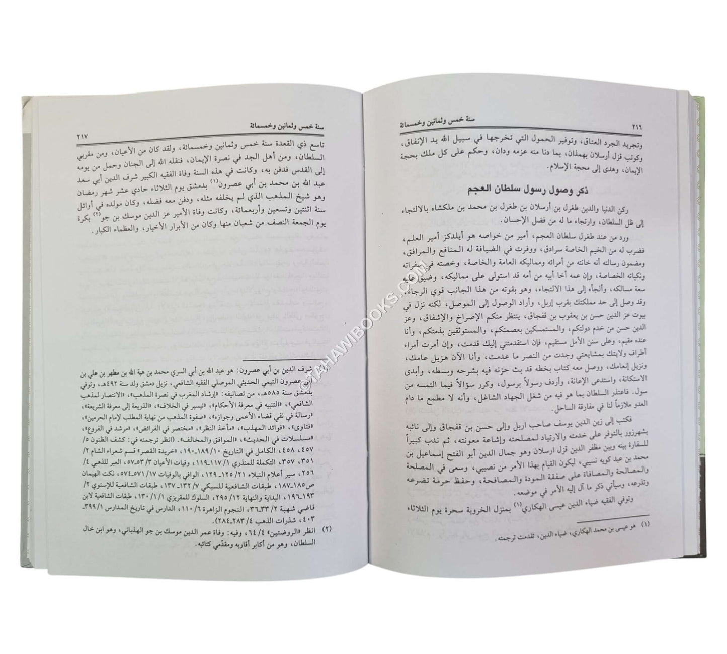 حروب صلاح الدين وفتح المقدس:الفتح القسي في الفتح القدسي