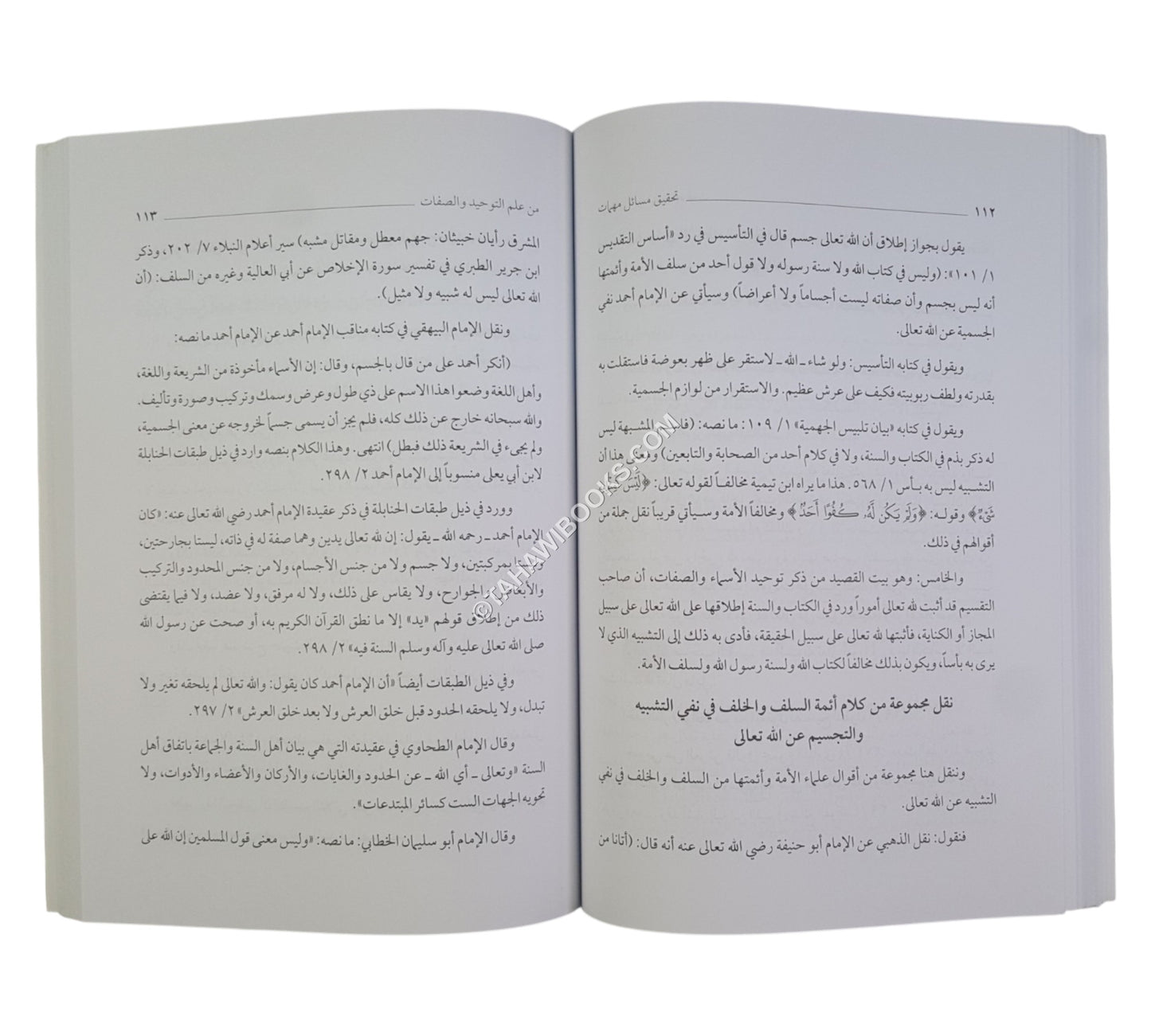 تحقيق مسائل مهمات من علم التوحيد والصفات