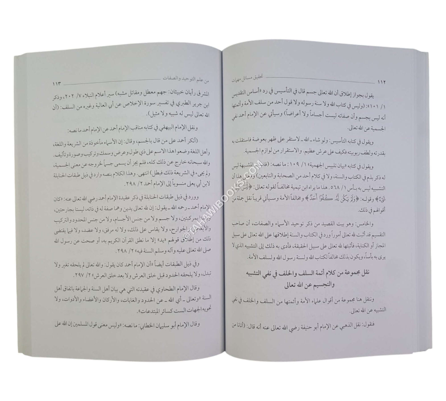 تحقيق مسائل مهمات من علم التوحيد والصفات