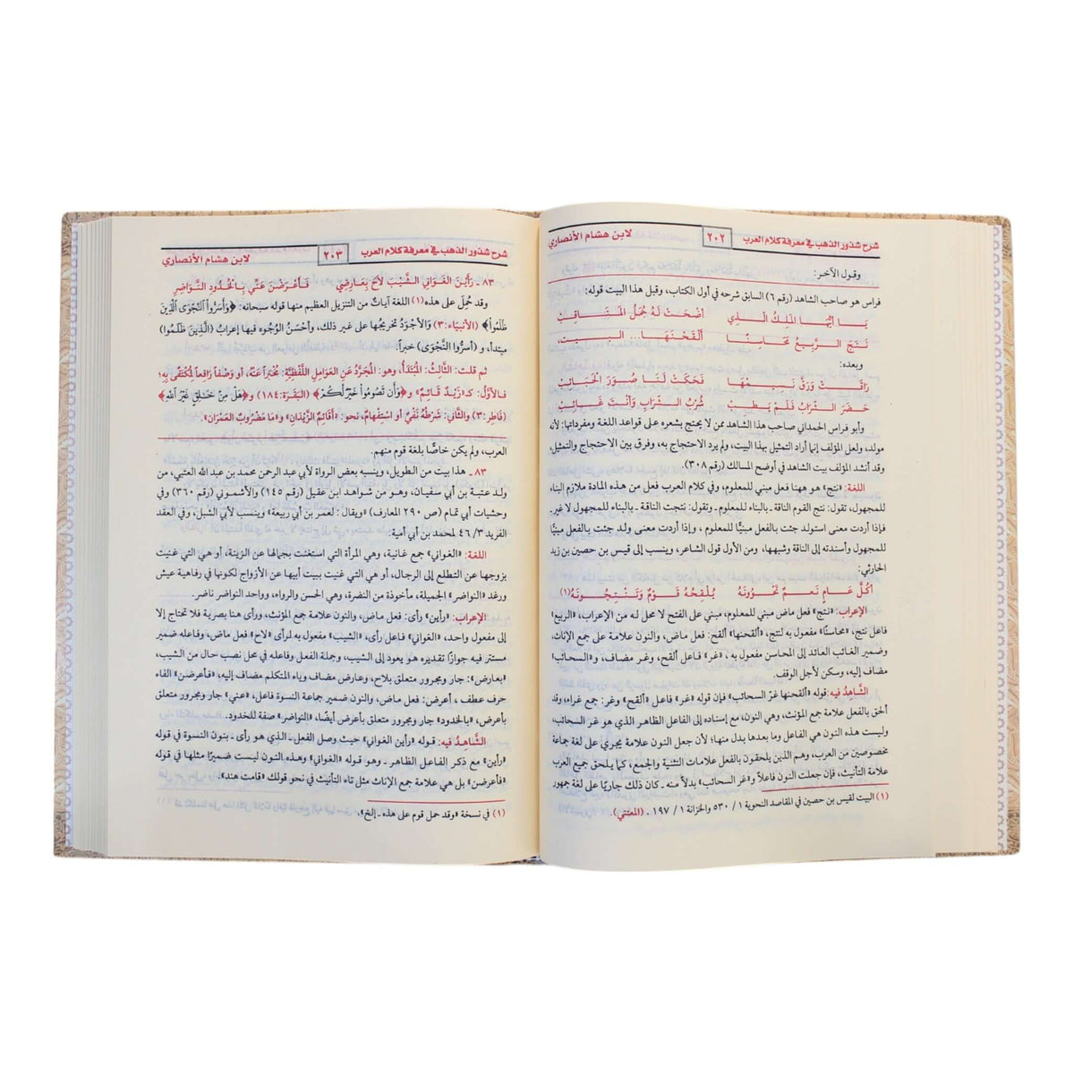 شرح شذور الذهب مع تعليق محمد محي الدين عبد الحميد-الغد