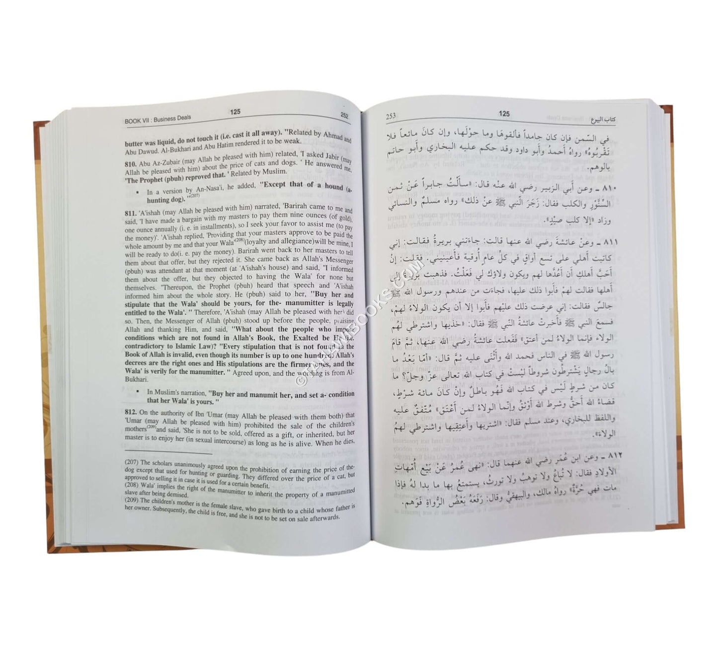 Bulugh al-Maram Ara-Eng