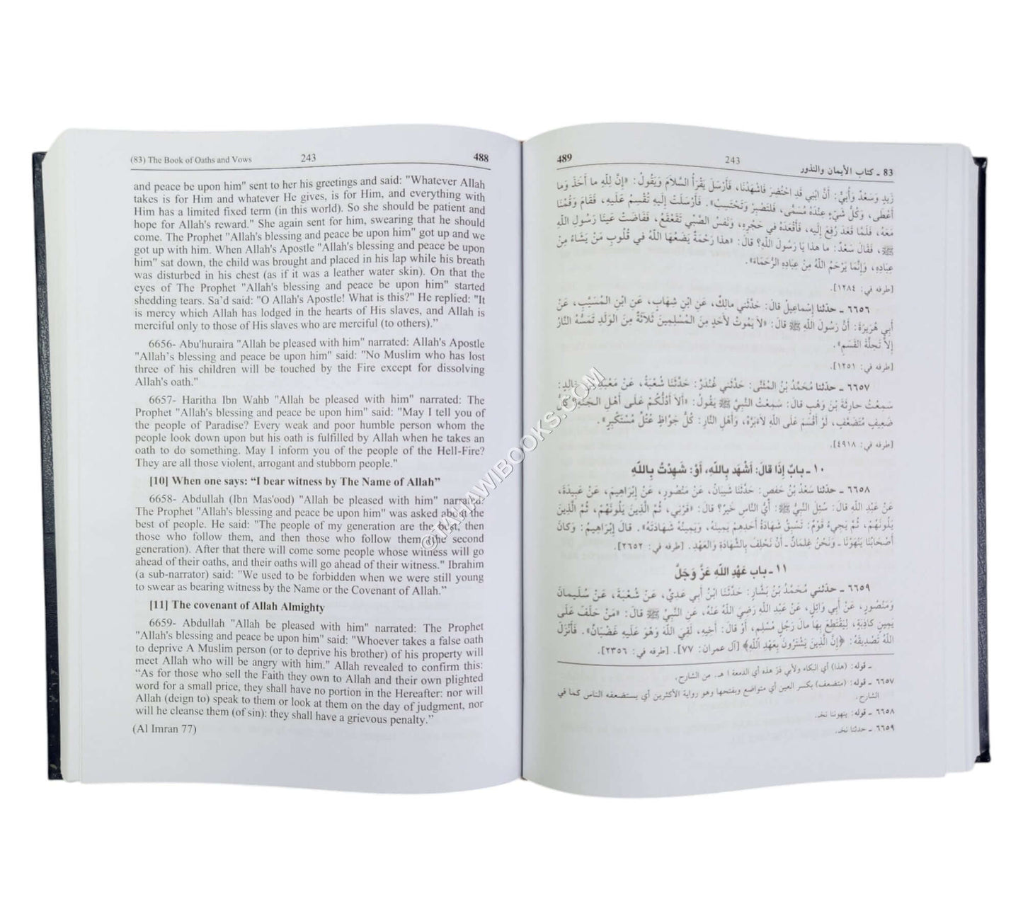 Sahih al-Bukhari ( Arabic - English )