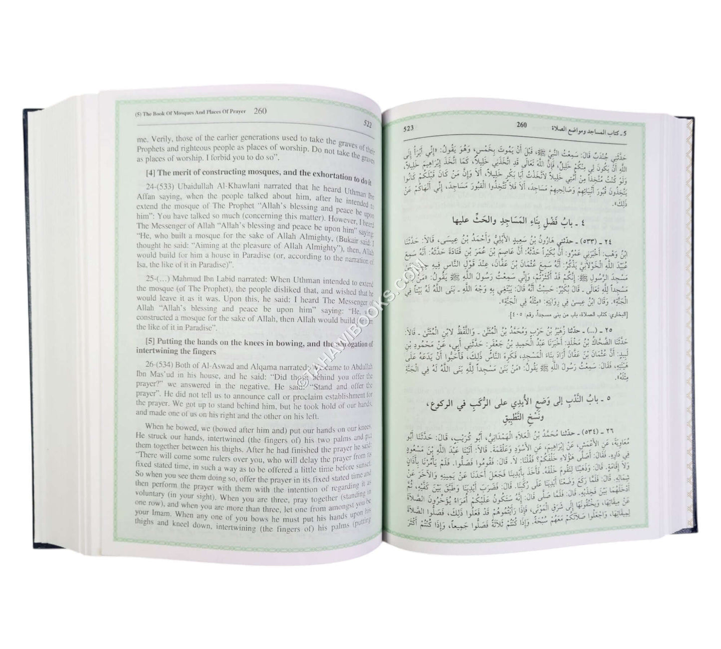 Sahih Muslim ( Arabic - English )
