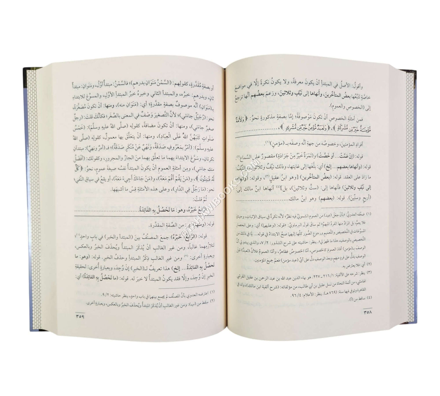 شرح شذور الذهب مع حاشية الفيشي
