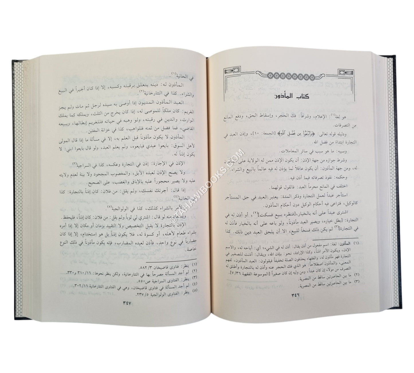 ذخيرة الناظر في الأشباه والنظائر