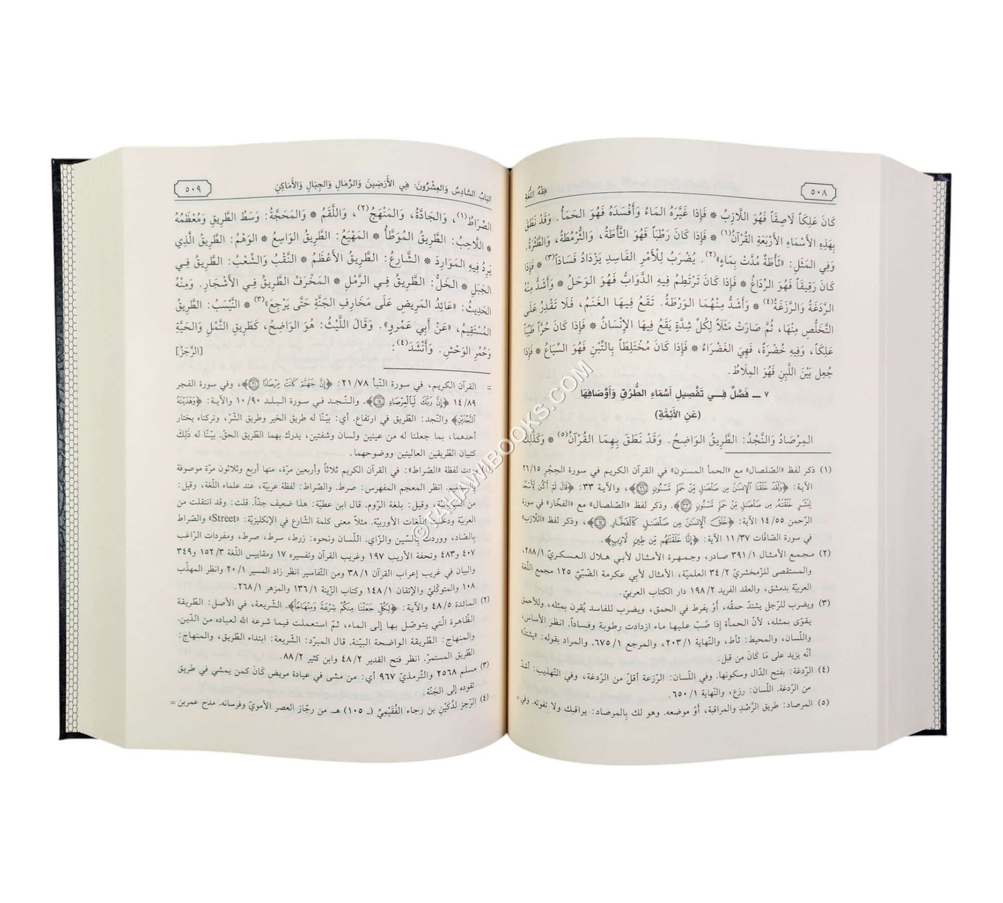 فقه اللغة وسر العربية-الفجر
