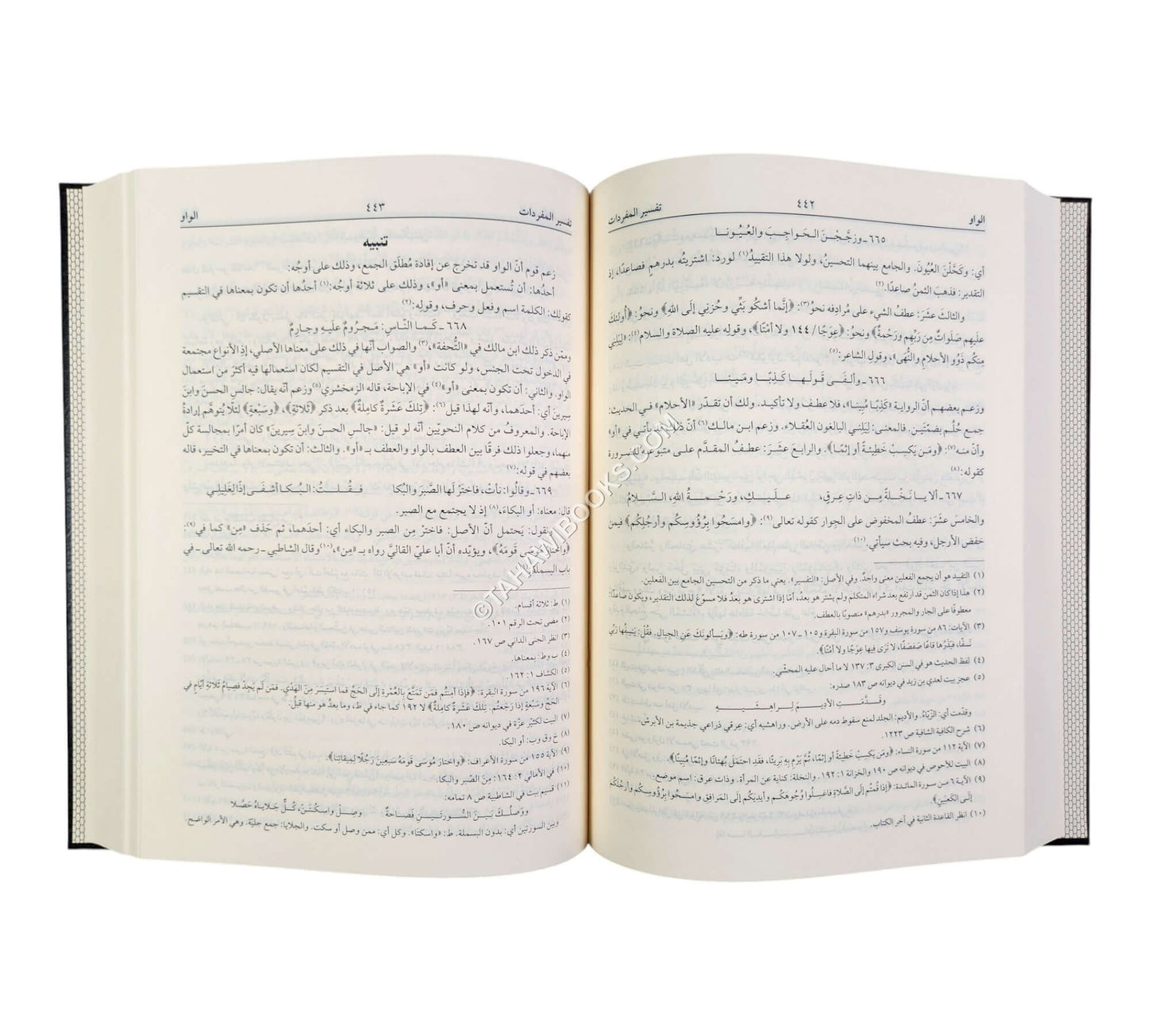 مغني اللببب عن كتب الأعاريب-اللباب-كبير ت:فخر الدين قباوة