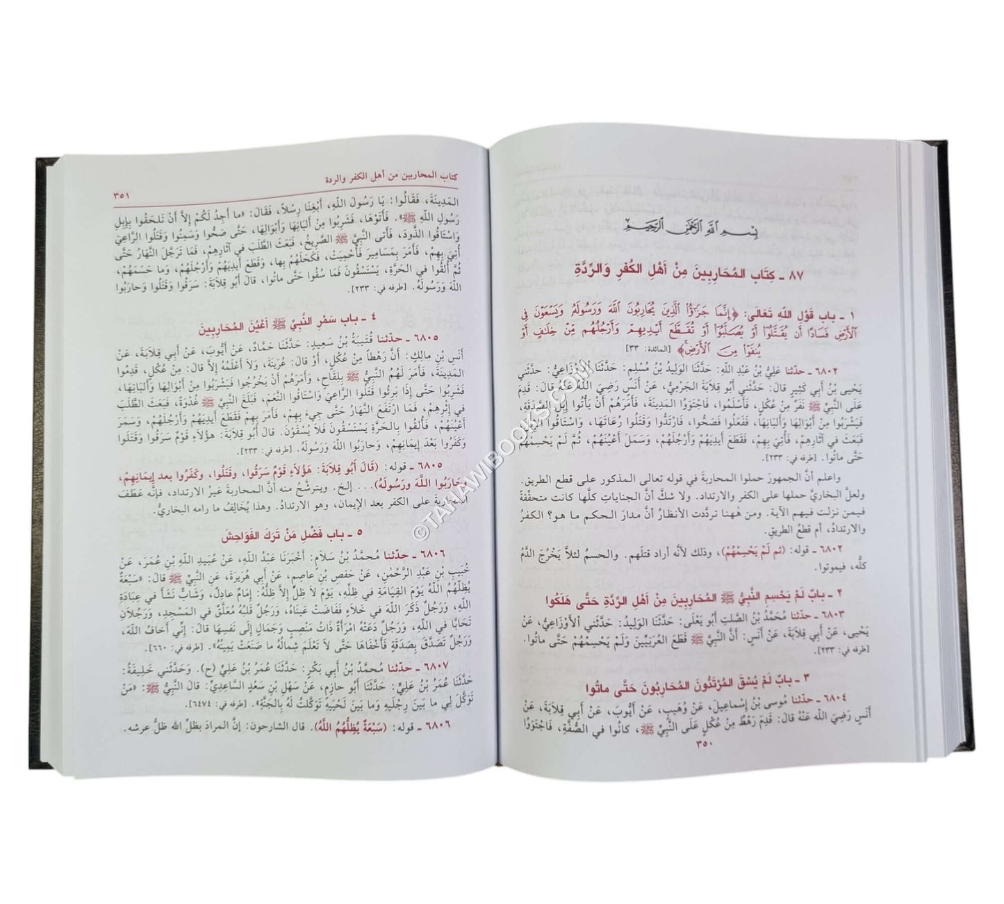 فيض الباري على صحيح البخاري