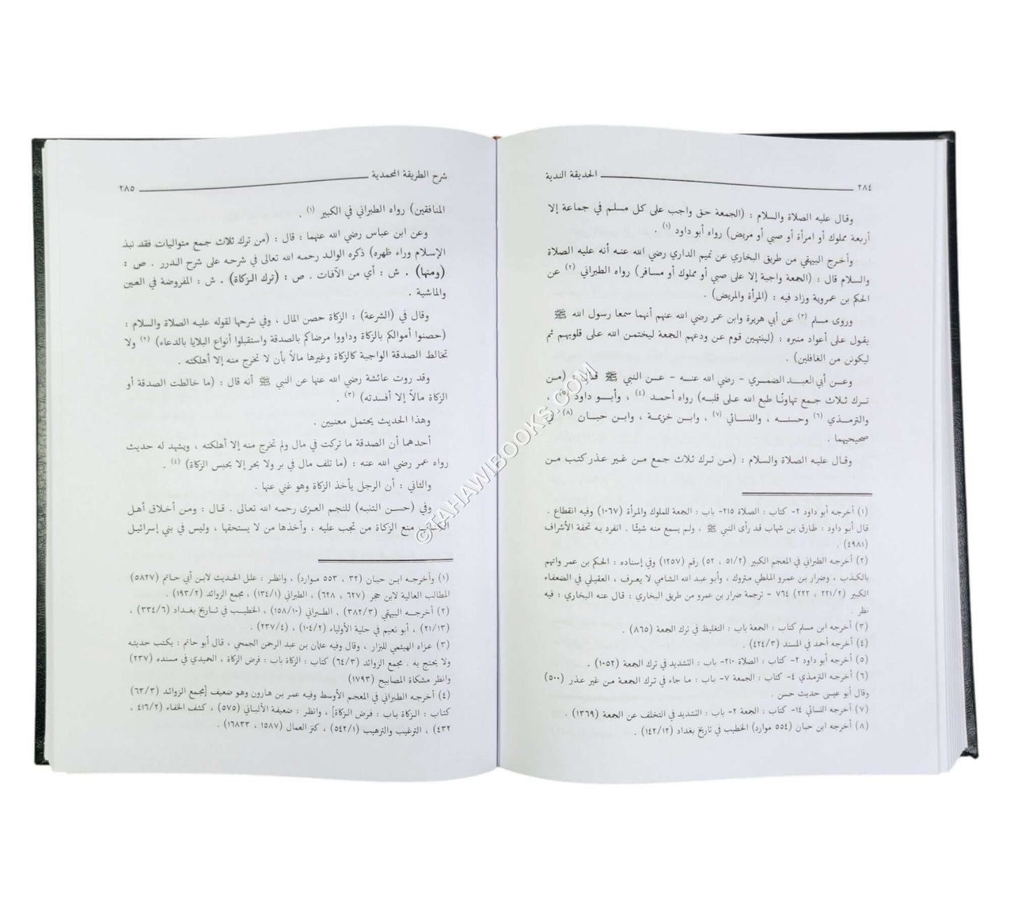 الحديقة الندية شرح الطريقة المحمدية والسيرة الأحمدية للشيخ زين الدين الرومي البركلي