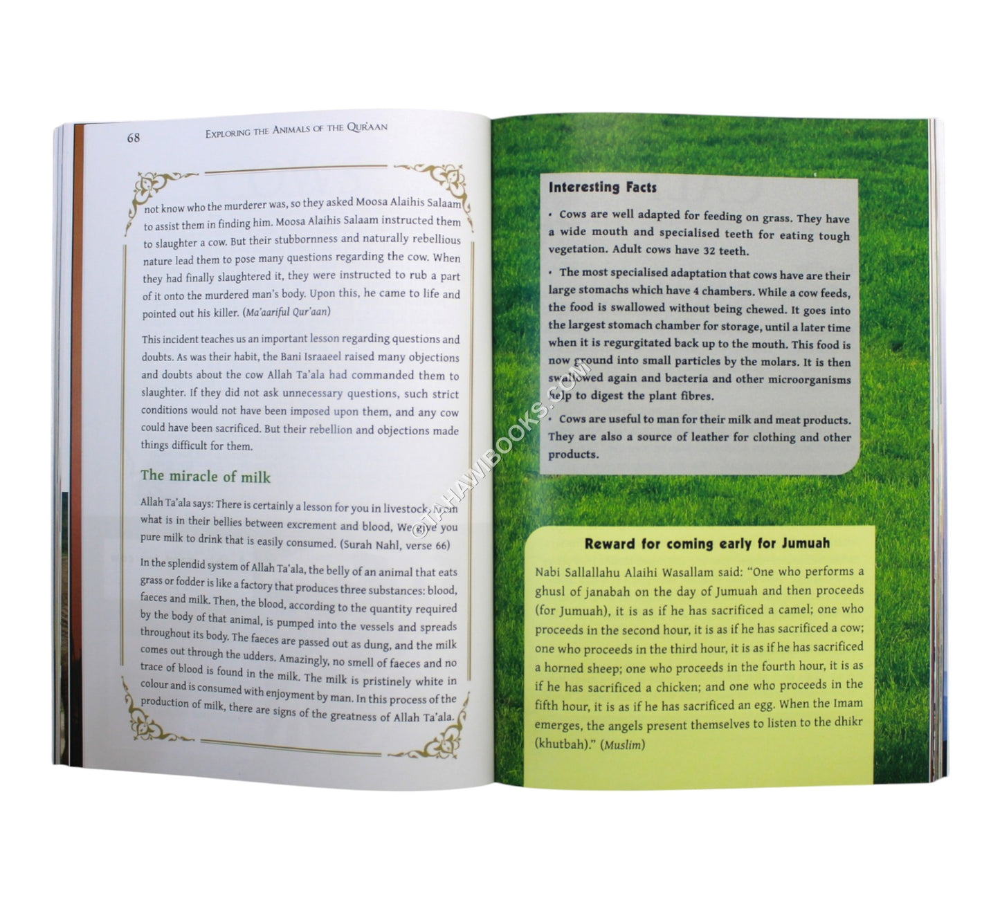 Exploring the Animals of the Qur'aan