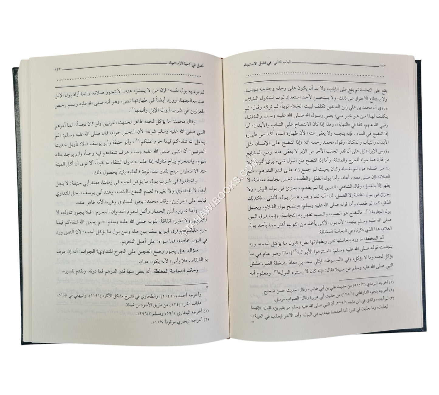 الضياء المعنوي شرح مقدمة الغزنوي