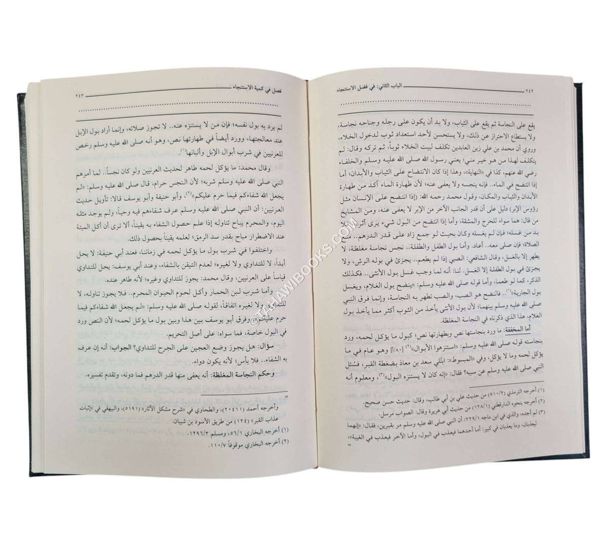 الضياء المعنوي شرح مقدمة الغزنوي