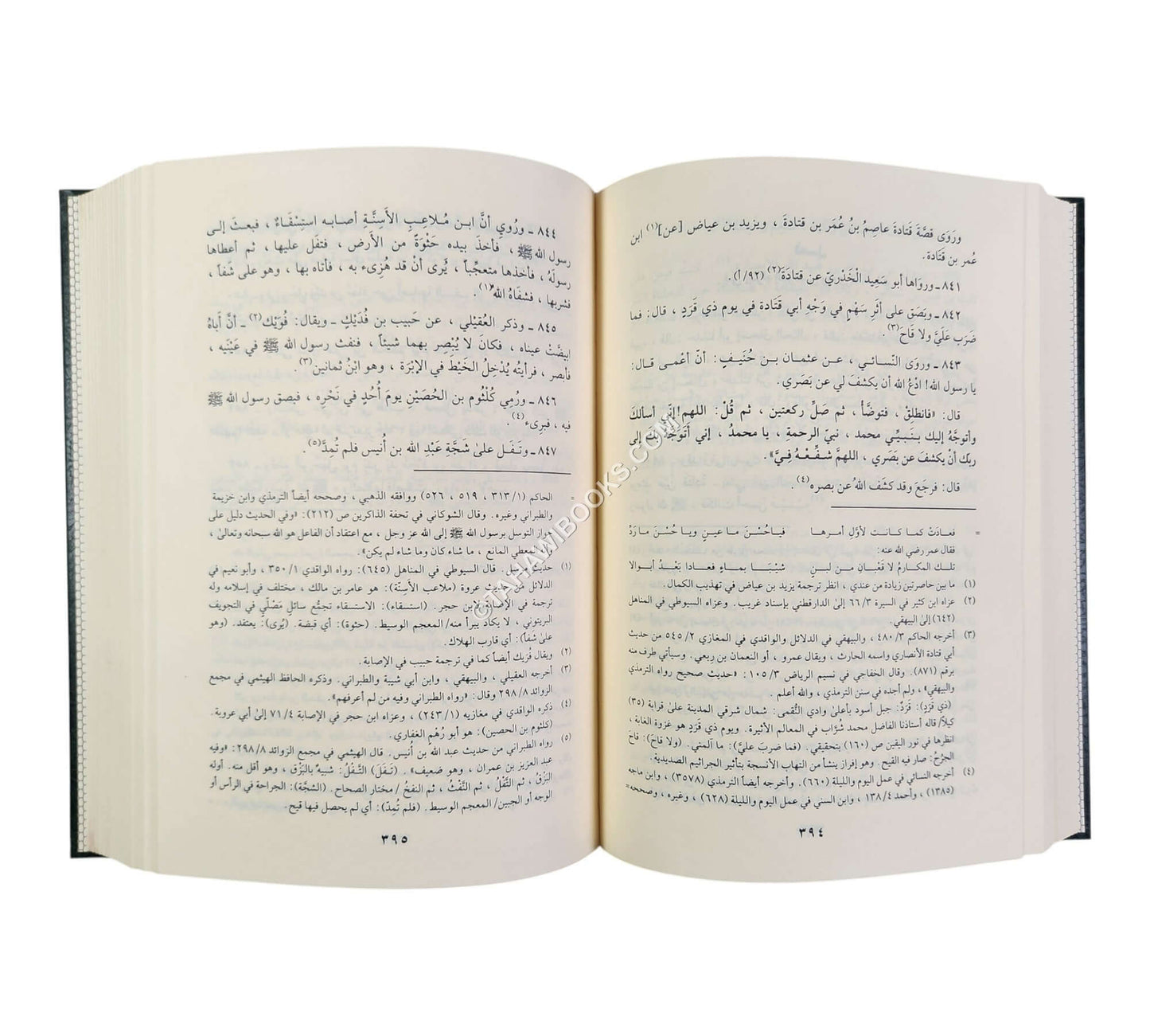 الشفا بتعريف حقوق المصطفى-الفيحاء