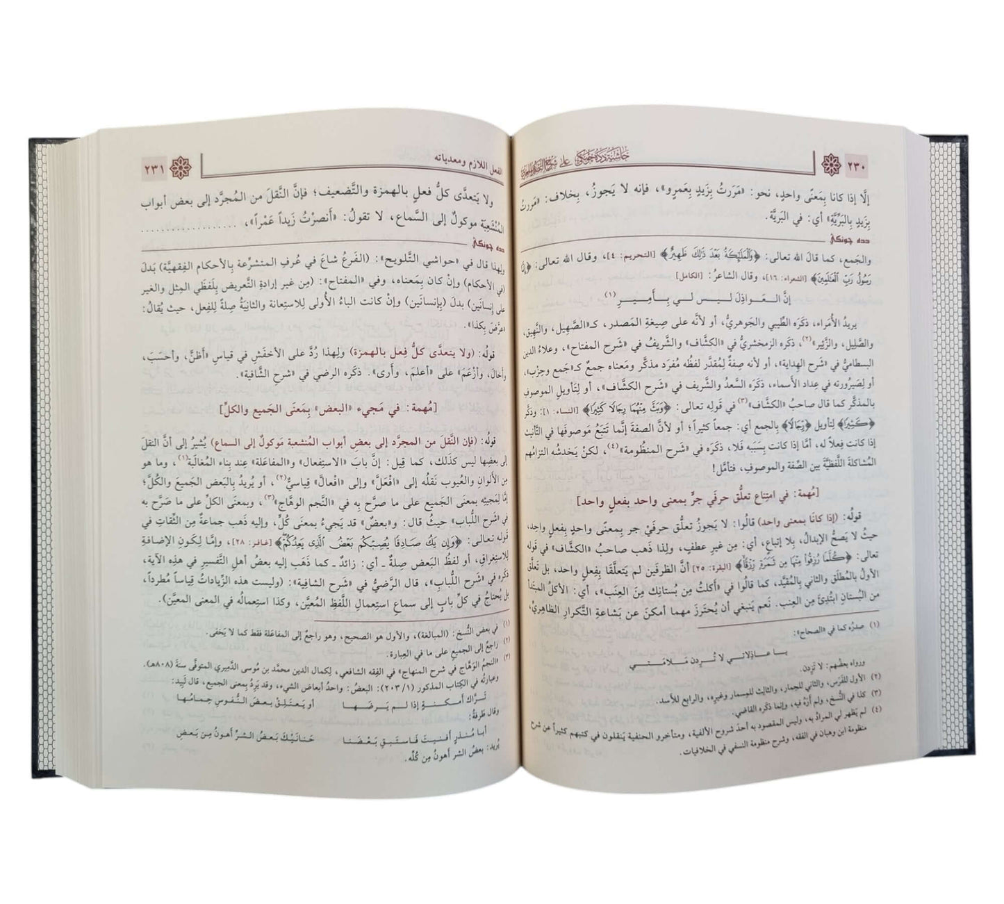 حاشية دده جونكي على شرح التصريف العزي