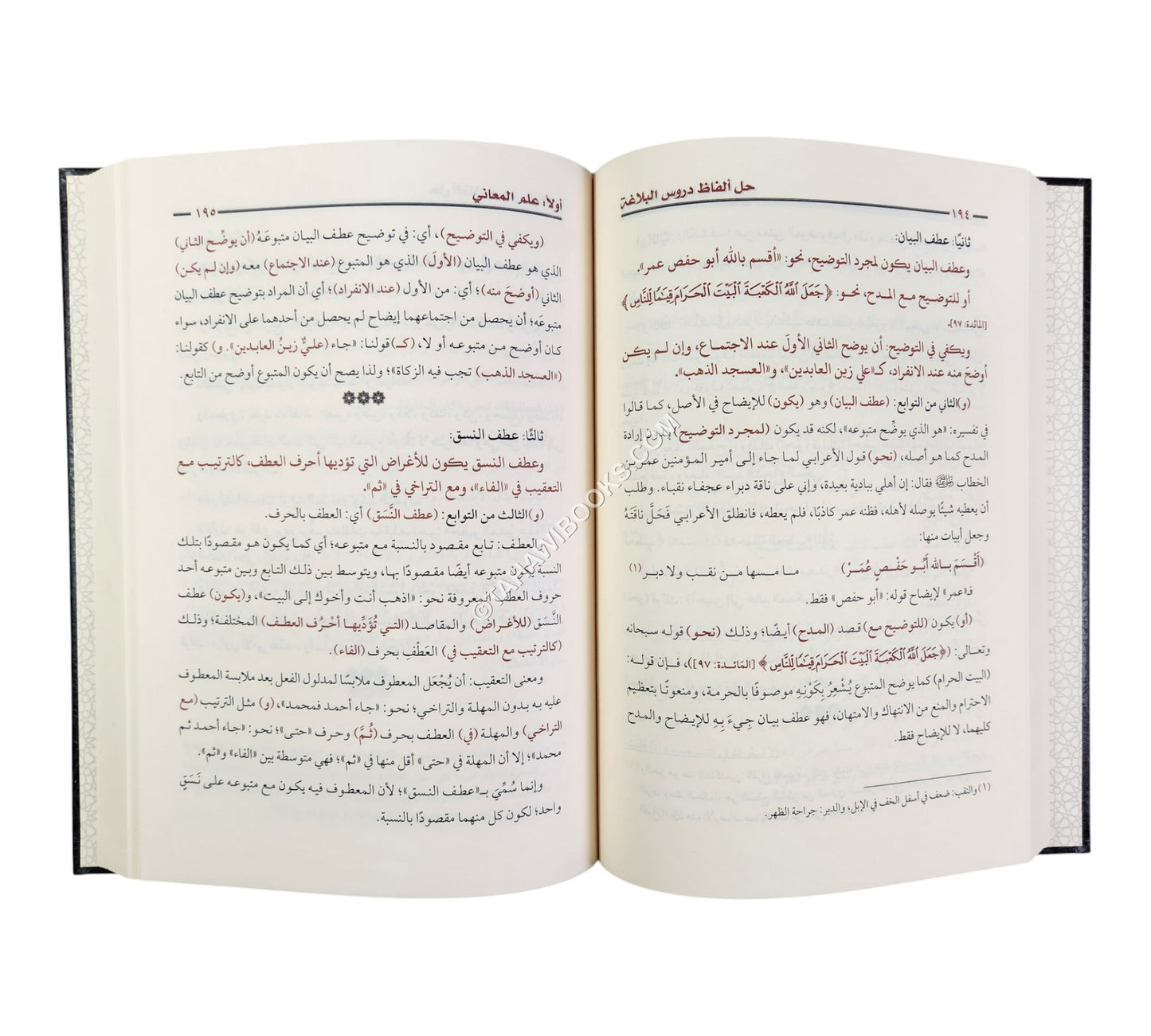 أفنان الصياغة في حل ألفاظ دروس البلاغة