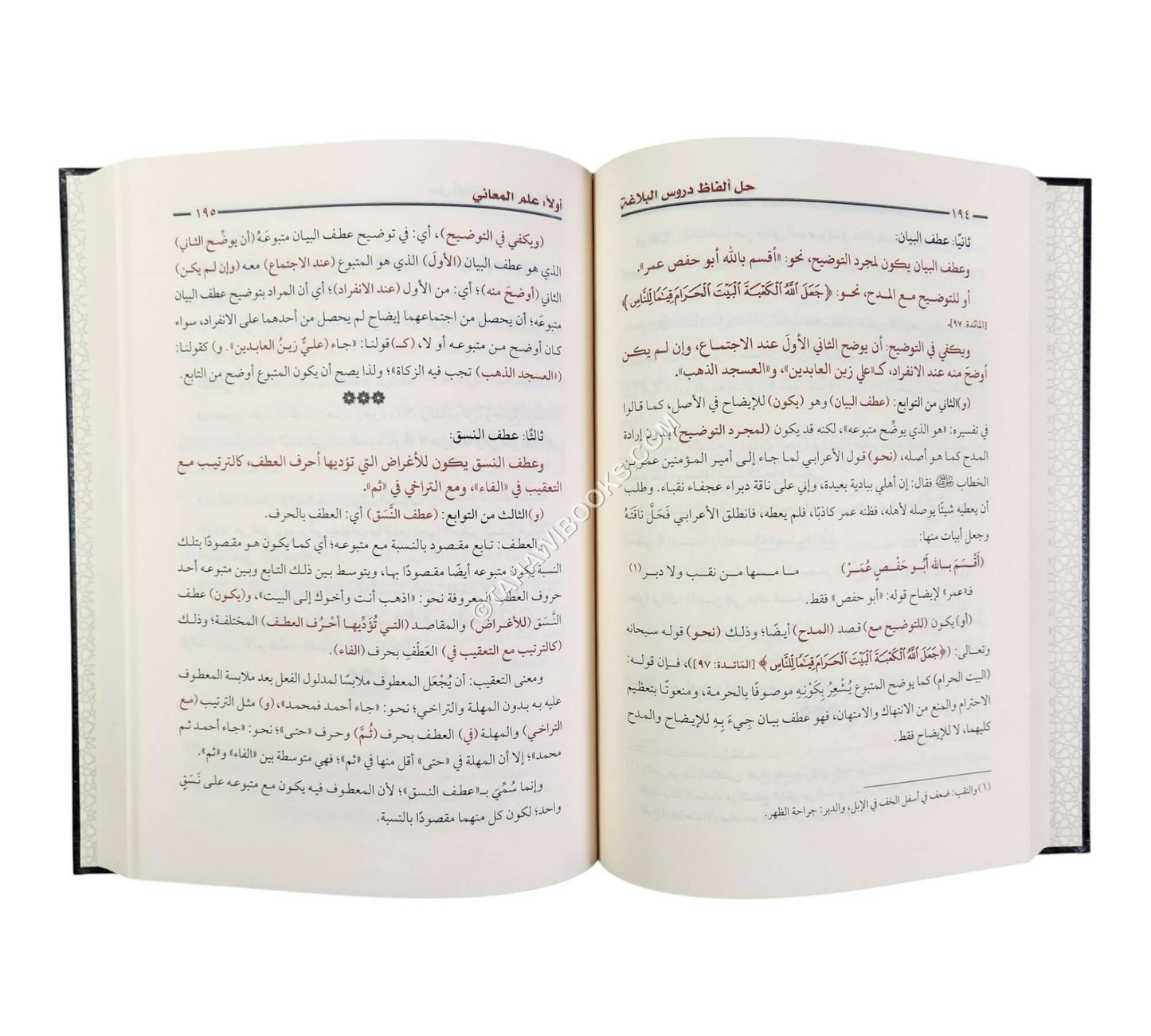 أفنان الصياغة في حل ألفاظ دروس البلاغة