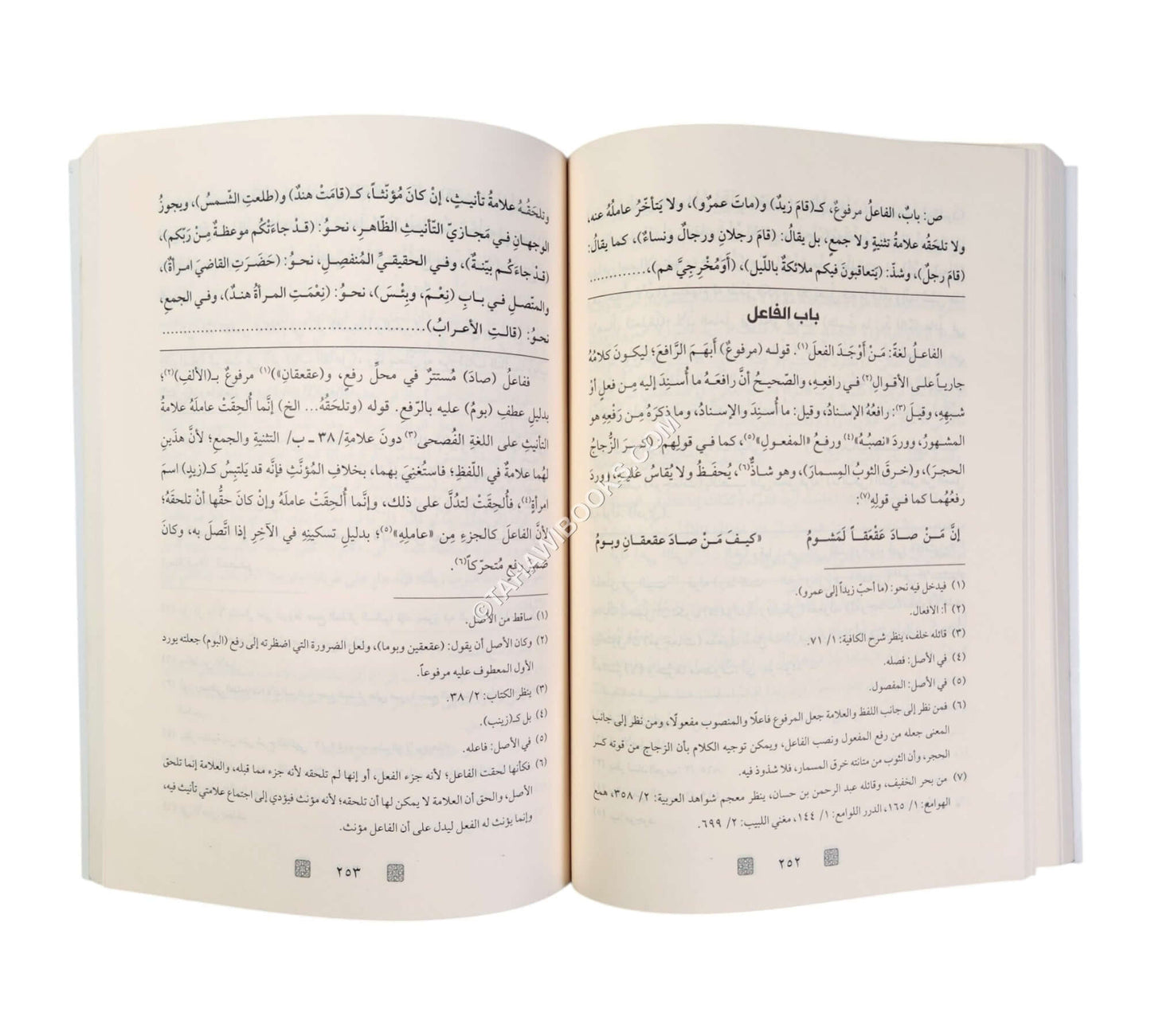 شرح قطر الندى وعليه حاشية الفيشي-الرياحين