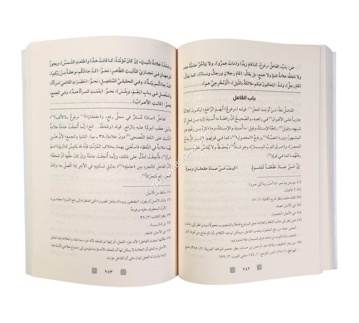 شرح قطر الندى وعليه حاشية الفيشي-الرياحين