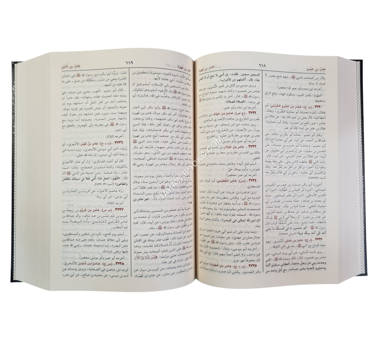 أسد الغابة في معرفة الصحابة-ابن