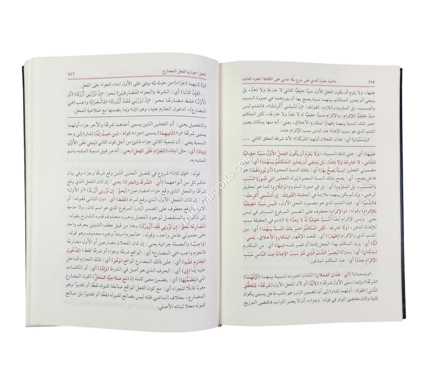حاشية محرم أفندي على شرح ملا جامي على الكافية المسمى (الفوائد الضيائية)